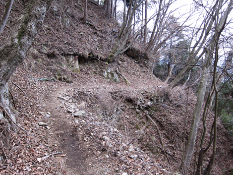 20190214hike (141)